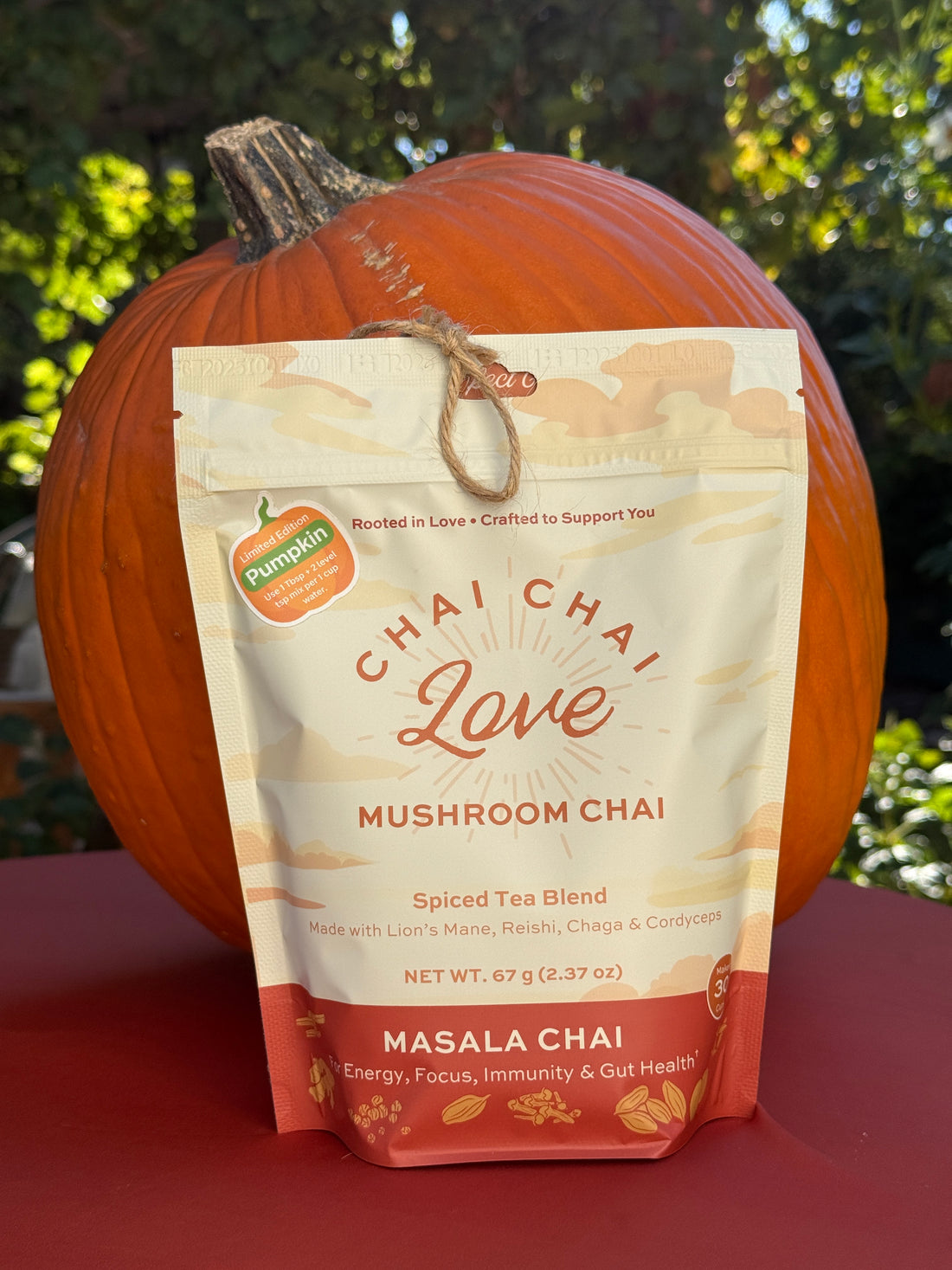 Chai Chai Love 🎃 Pumpkin (Limited Edition)